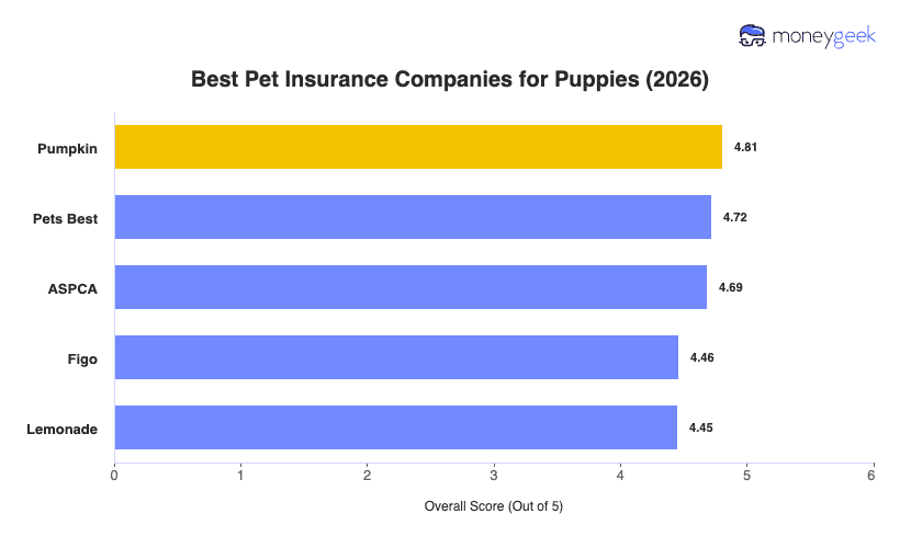 Best Kitten Insurance Chart