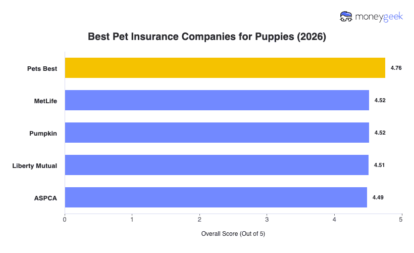 Best Senior Dog Insurance Chart