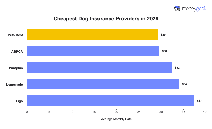 Cheapest Small Dog Insurance Chart