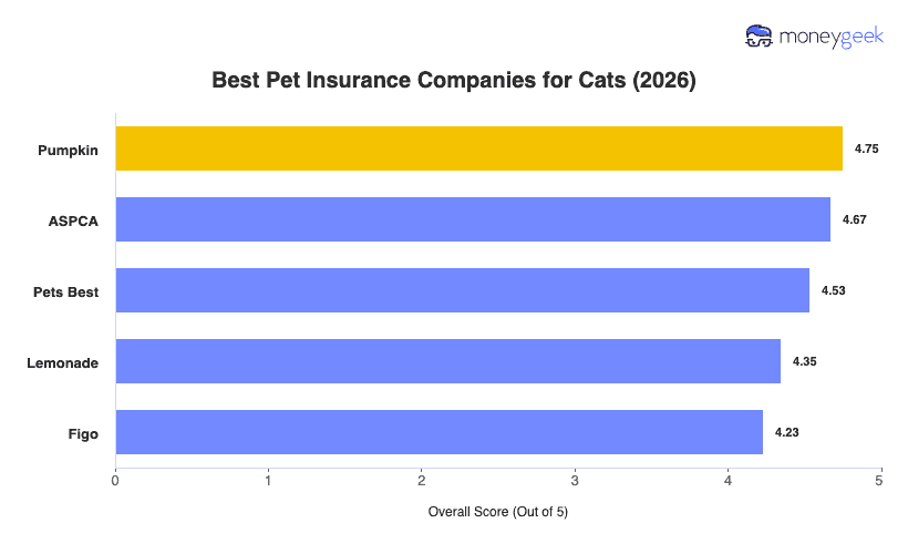 Best Cat Insurance Chart