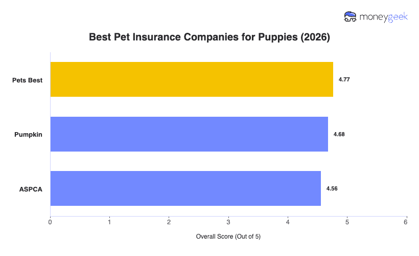 Best Puppy Insurance Chart
