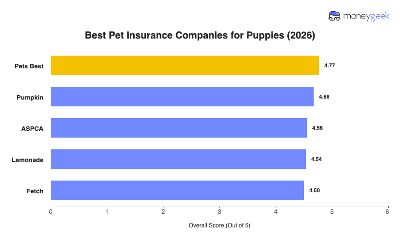 Best Puppy Insurance Chart