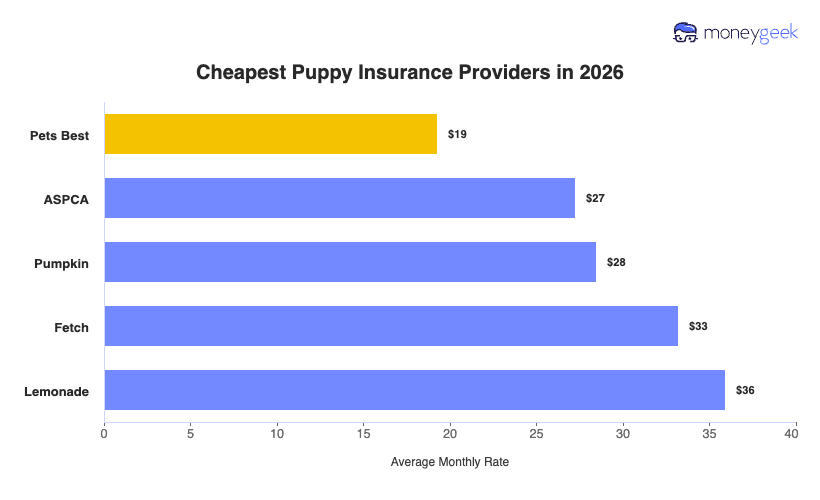 Cheapest Puppy Insurance Chart