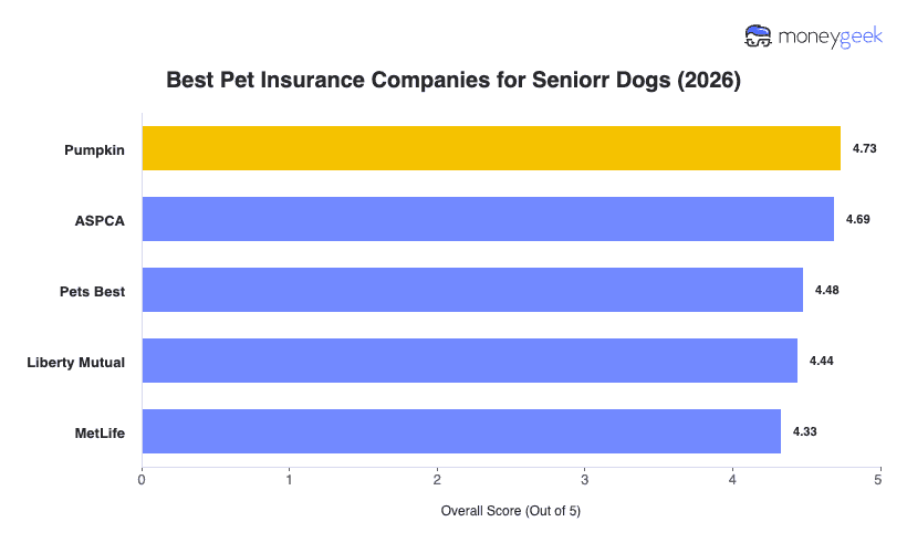 Best Senior Cat Insurance Chart