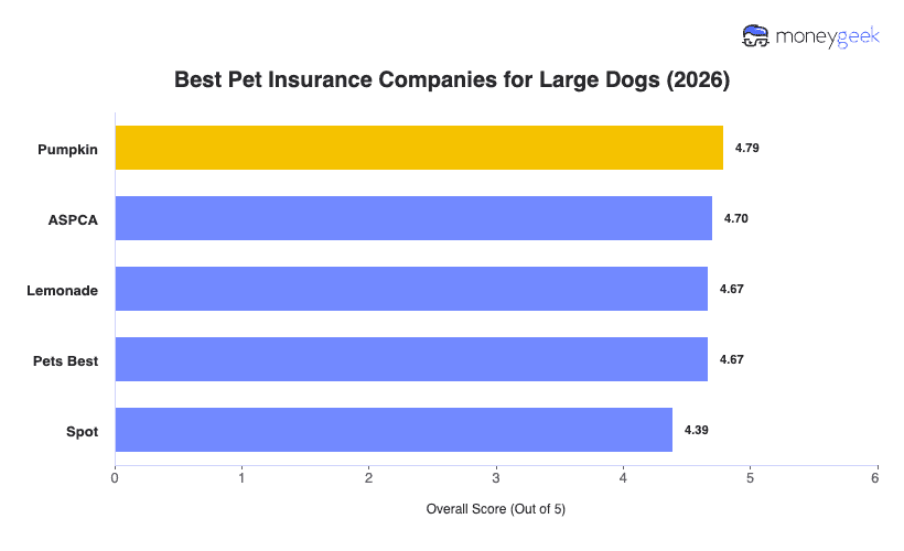 Best Large Dog Insurance Chart
