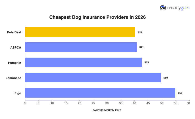 Cheapest Dog Insurance Chart