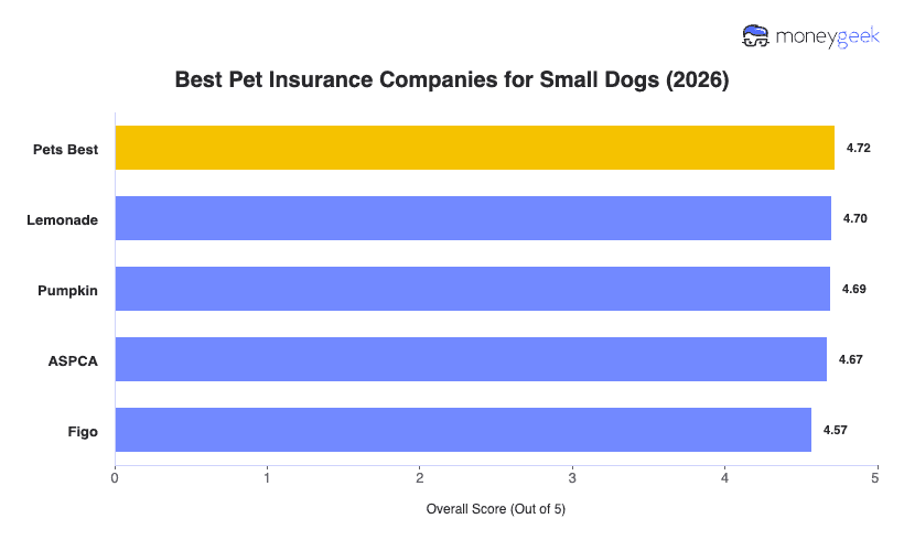 Best Small Dog Insurance Chart