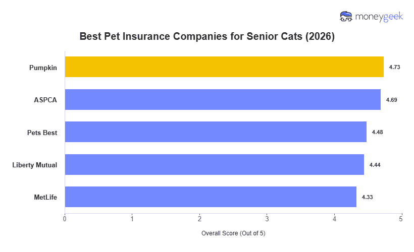 Best Senior Cat Insurance Chart