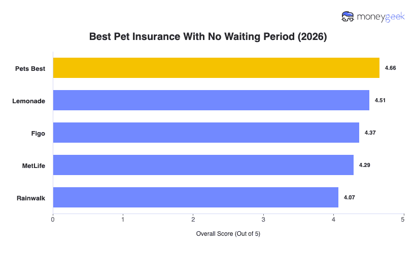 Best Pet Insurance With No Waiting Period Chart