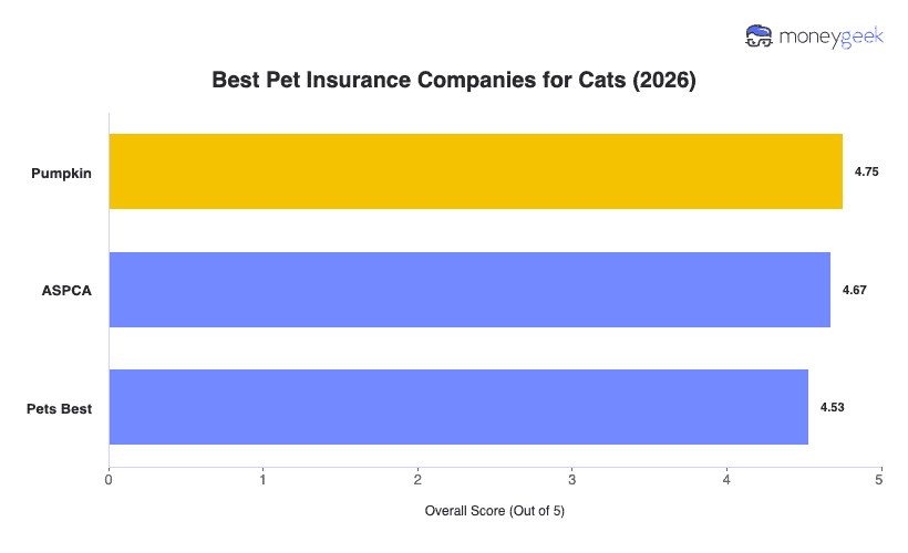 Best Cat Insurance Chart