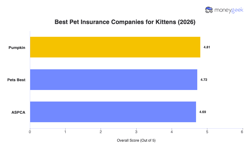 Best Kitten Insurance Chart