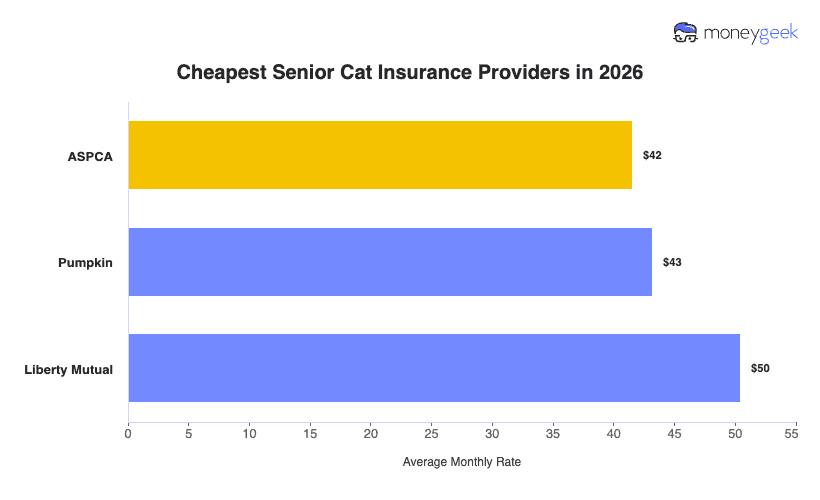 Cheapest Senior Cat Insurance Chart