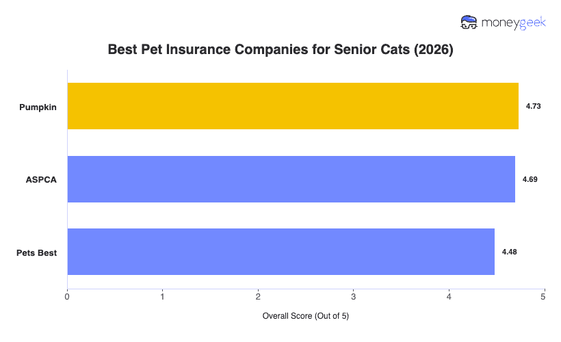 Best Senior Cat Insurance Chart