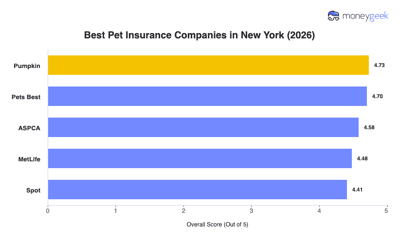 Best Pet Insurance in New York Chart