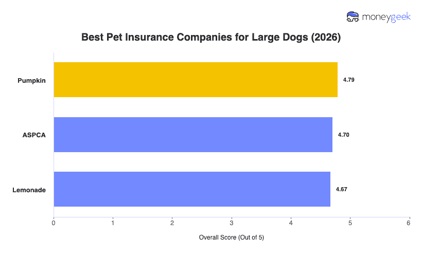 Best Large Dog Insurance Chart