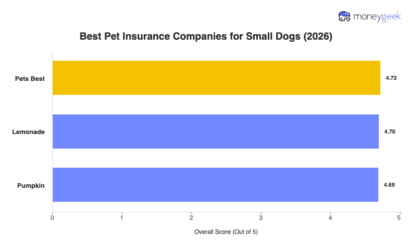 Best Small Dog Insurance Chart